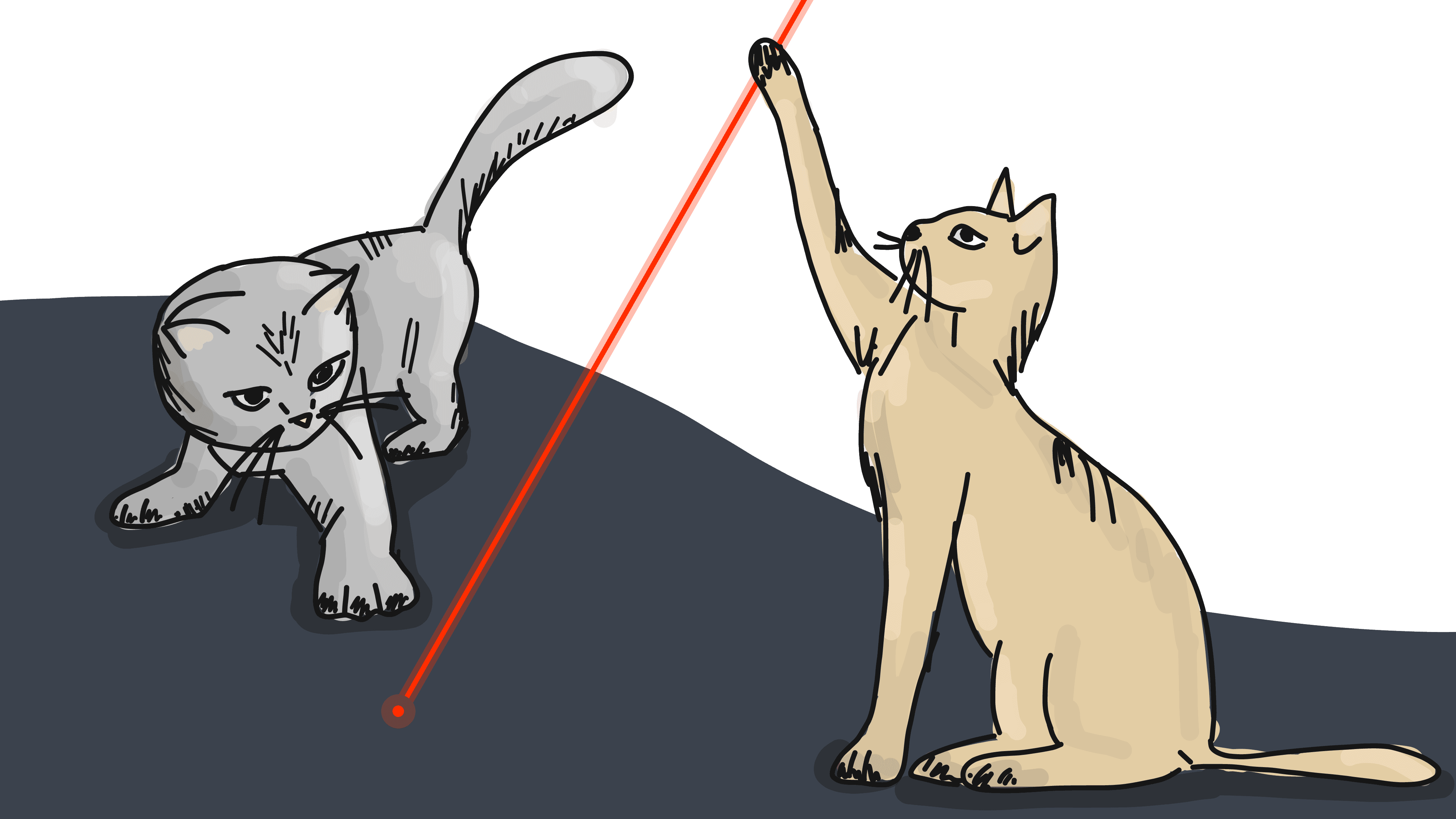 A couple of cats chasing a laser pointer